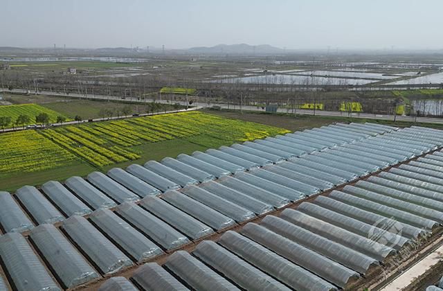 赤壁企業(yè)數(shù)字化轉型 高端網(wǎng)站建設引領產(chǎn)業(yè)升級